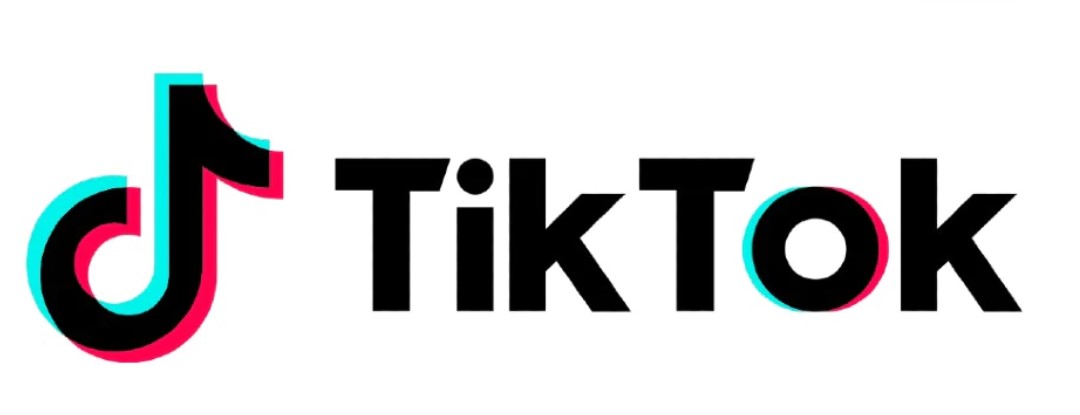 Lire la suite à propos de l’article Comment télécharger des vidéos tiktok ?